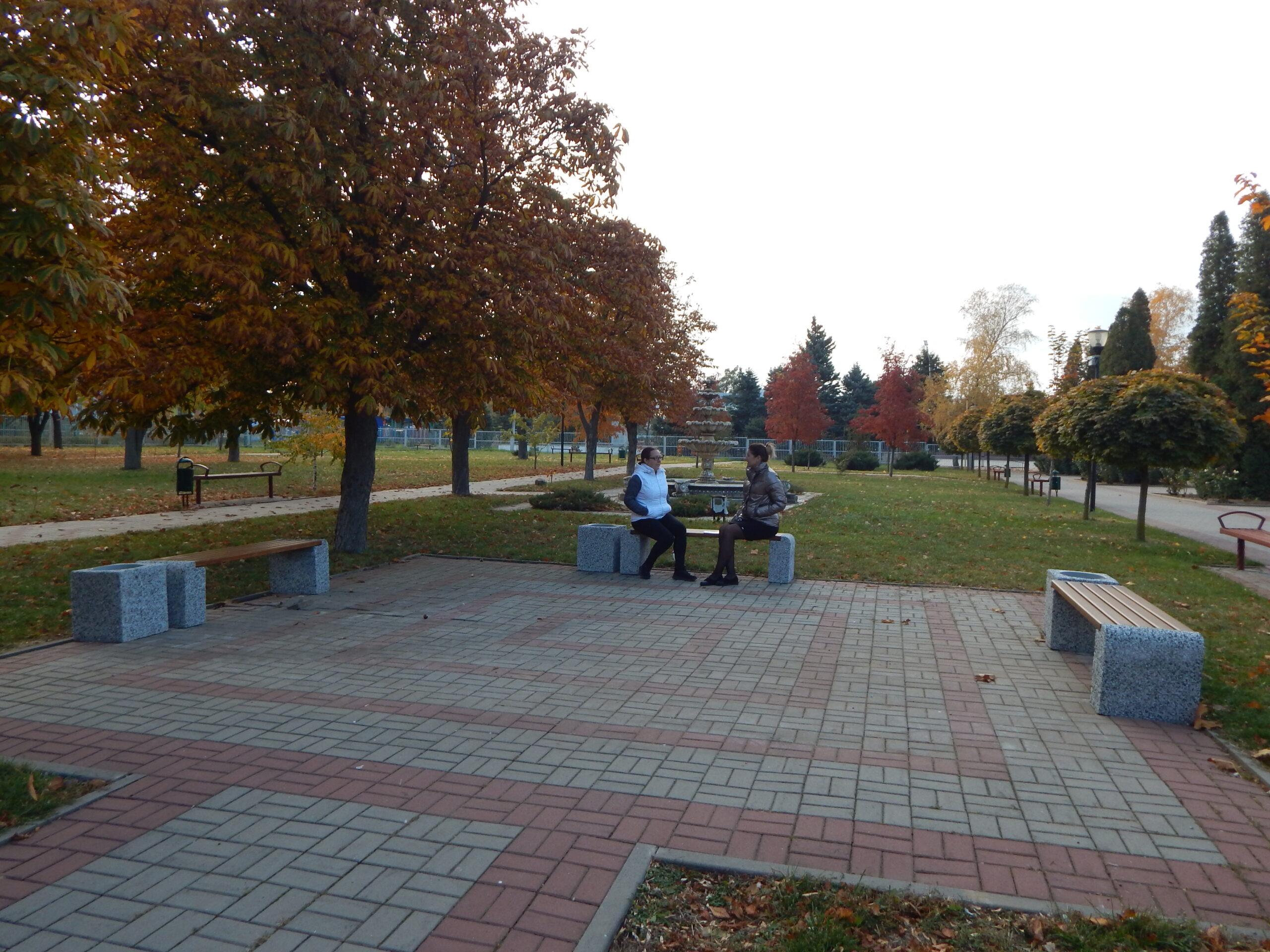 Проект партийной «первички» помог благоустроить парк в центре посёлка Орловского.