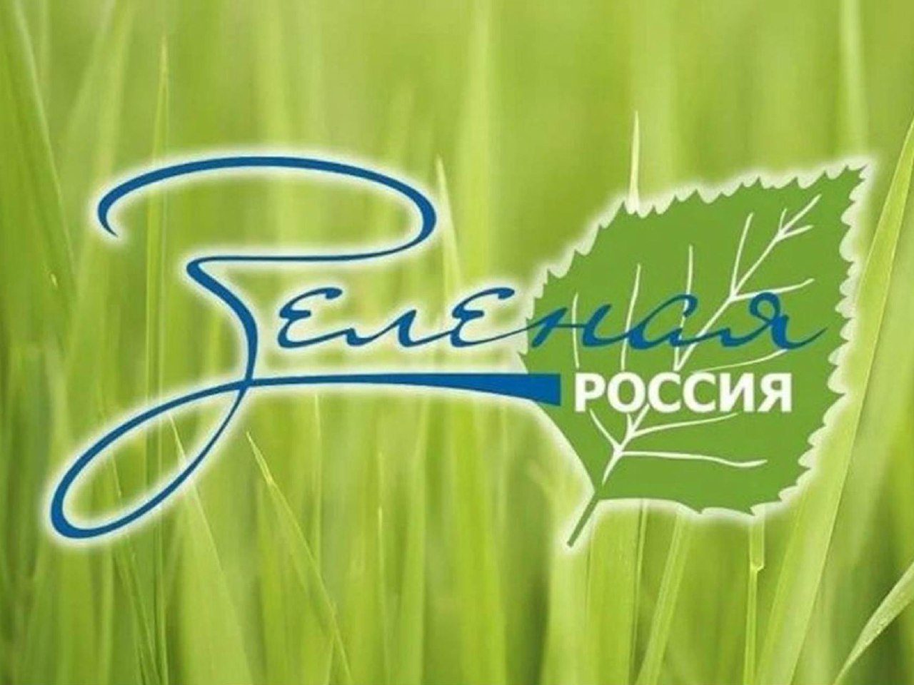 С 3 по 24 сентября пройдёт Всероссийский экологический субботник «Зелёная Россия»