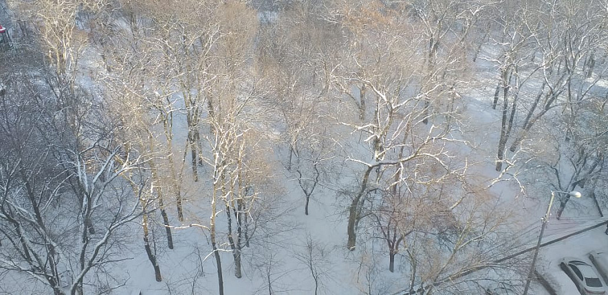 Первый снег в Ростовской области может выпасть уже в октябре