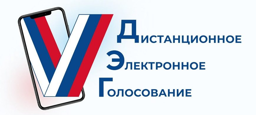 Ростовская область вошла в топ-10 регионов по количеству проголосовавших на платформе дистанционного электронного голосования