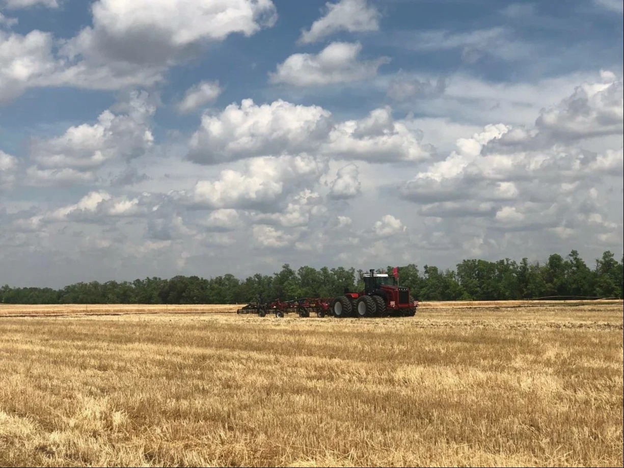 Ростовская область собрала 2,6 млн тонн ранних зерновых с 22% площадей — власти