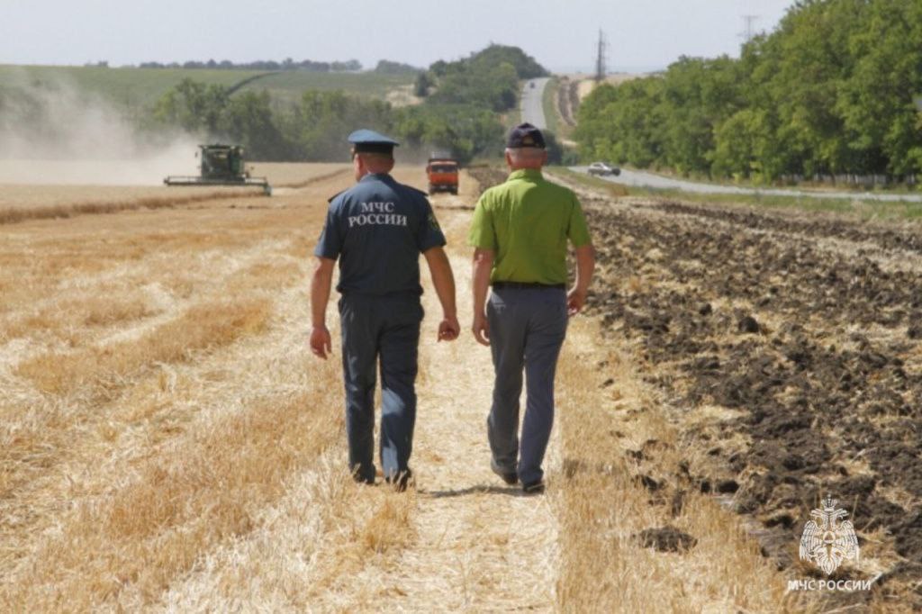 Больше 100 га пшеницы уничтожено пожарами в Ростовской области