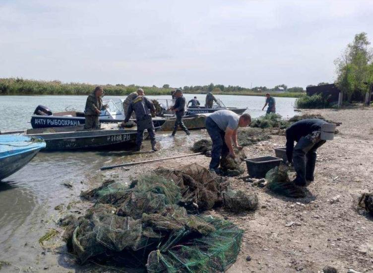 ДОНСКАЯ РЫБООХРАНА СПАСЛА БОЛЬШЕ 1000 РАКОВ НА РЕКЕ МАНЫЧ