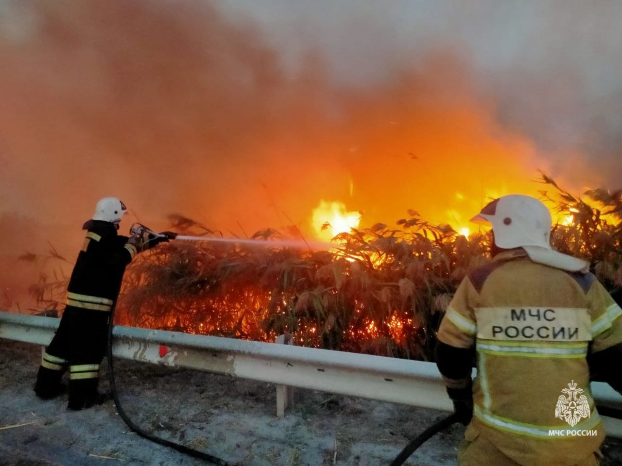 111 пожаров произошли в Ростовской области за вчерашние сутки