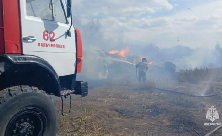 В Ростовской области установлена виновница крупного ландшафтного пожара