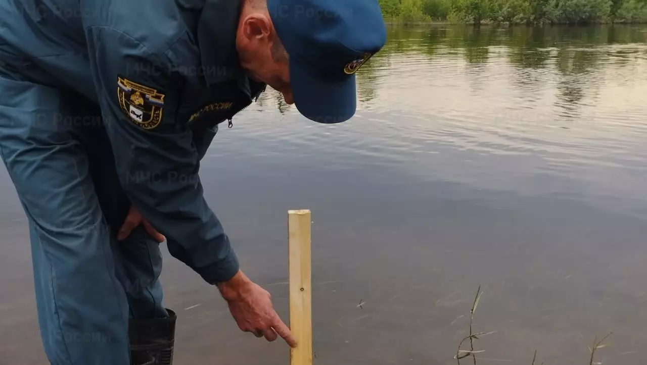 Сгон воды в Ростовской области может привести к экологической катастрофе