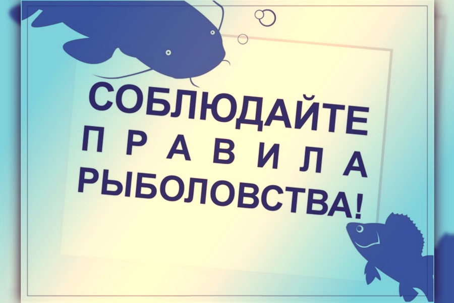 ПАМЯТКА РЫБОЛОВАМ-ЛЮБИТЕЛЯМ